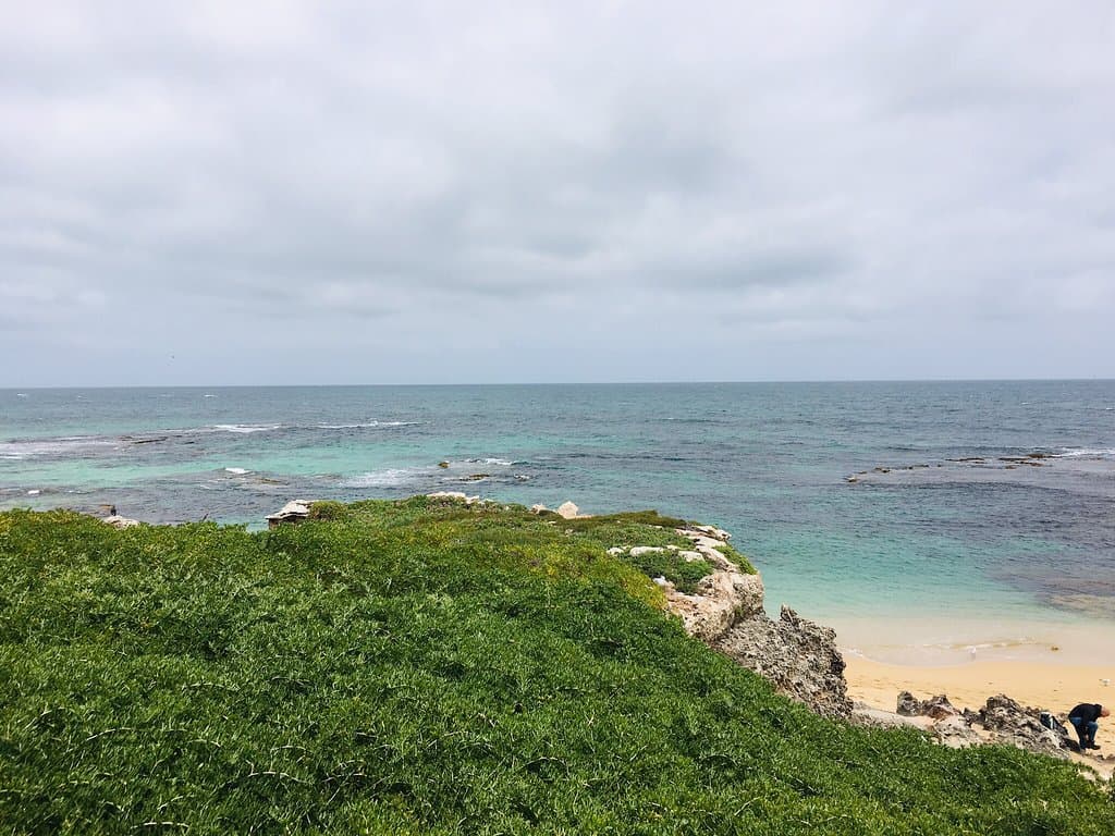Pelican Foreshore