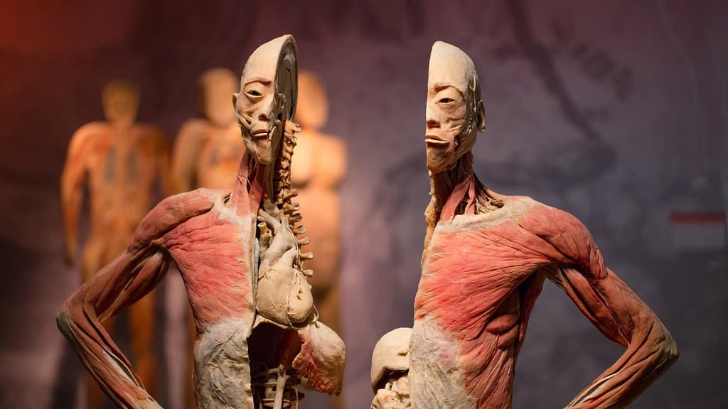 Hunger Gallery