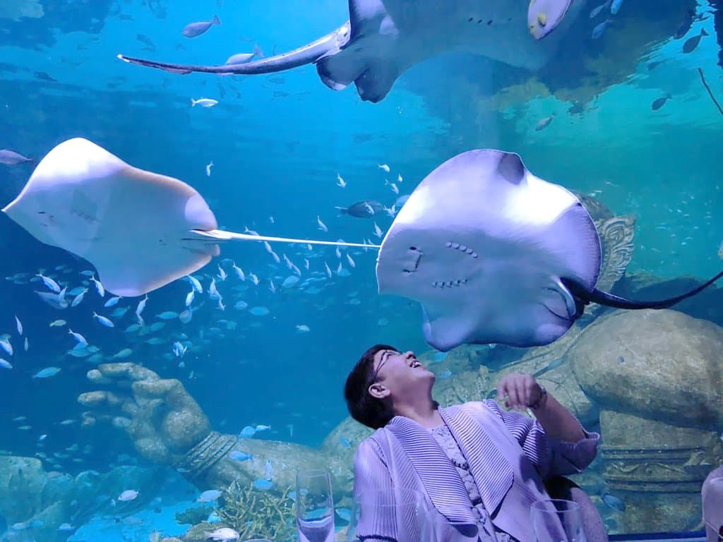 Capture the perfect picture over dinner with our friendly and graceful sting-rays