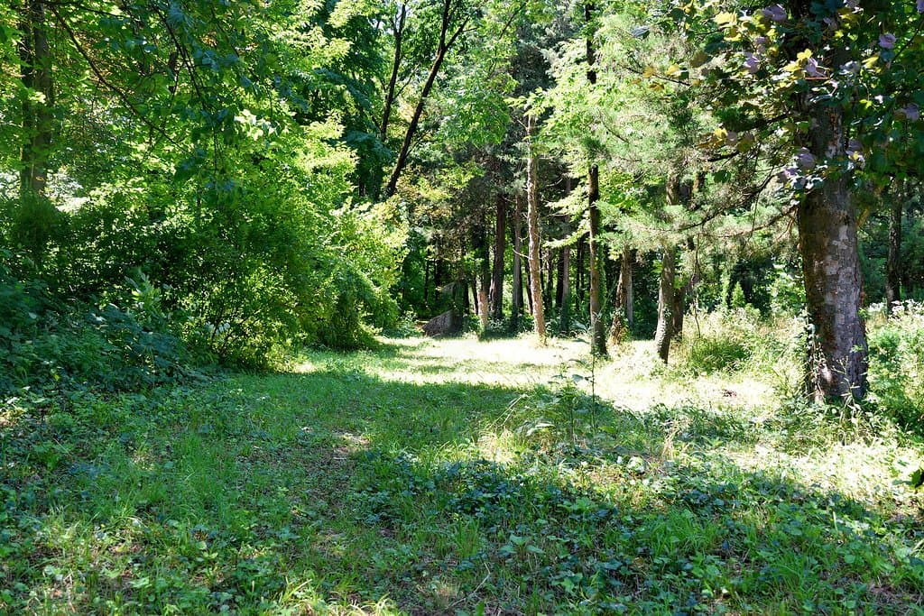 getlstd_property_photo