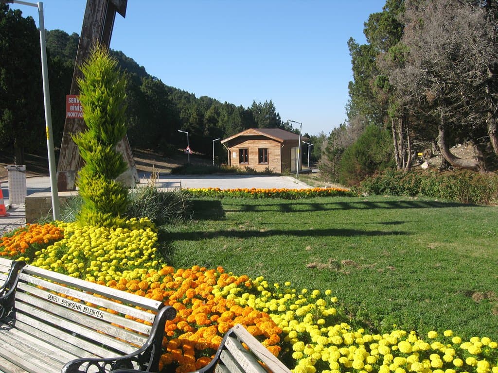 Bağbaşı Yaylası