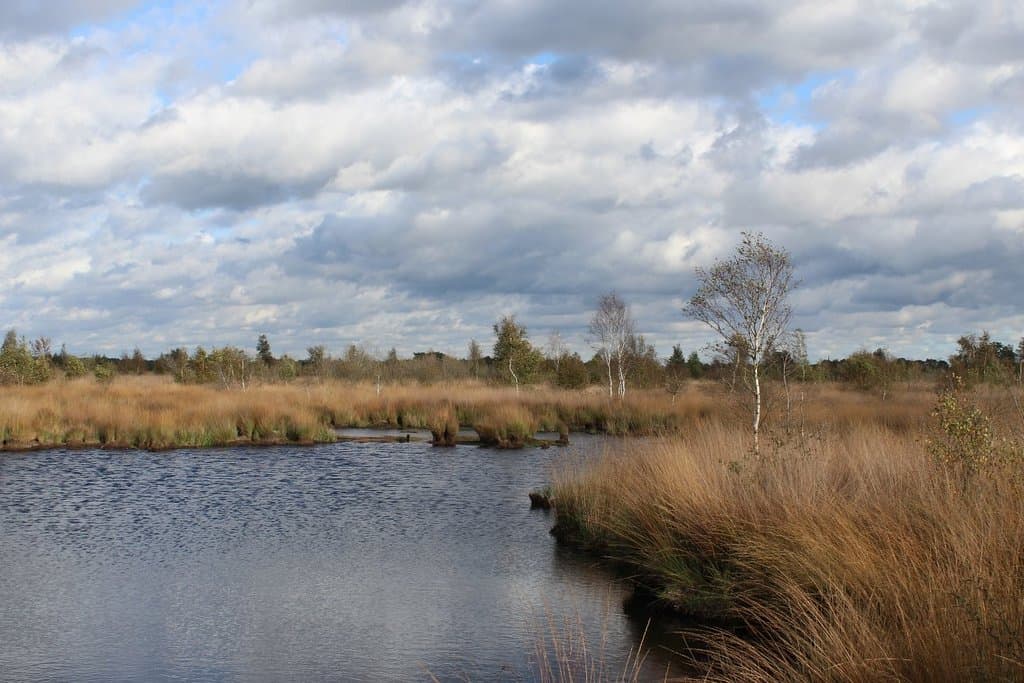 De Groote Peel National Park