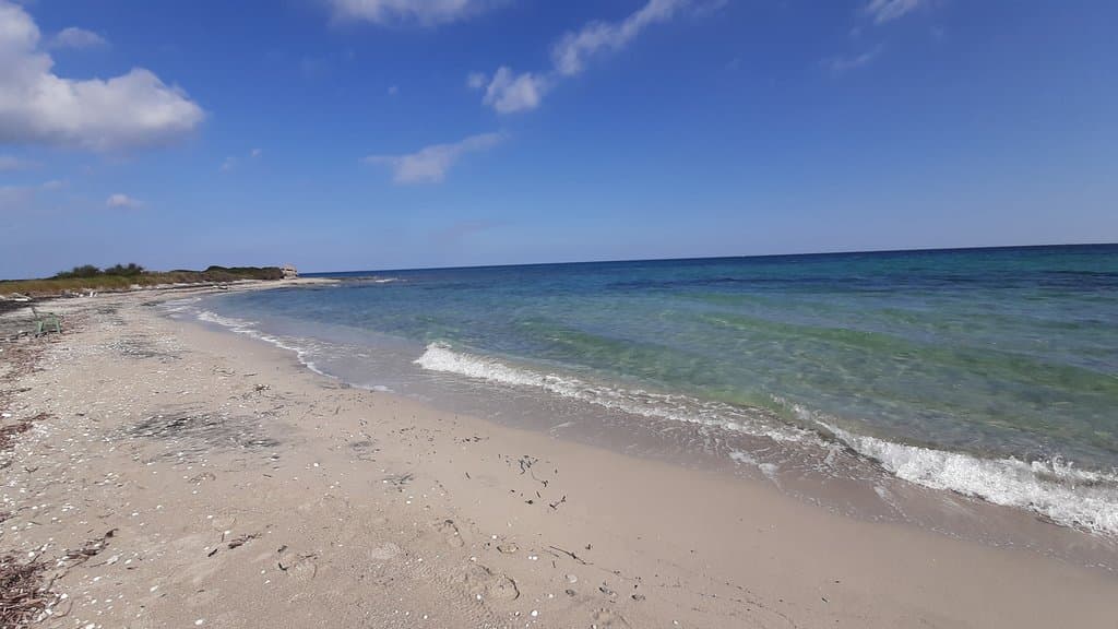 mare 