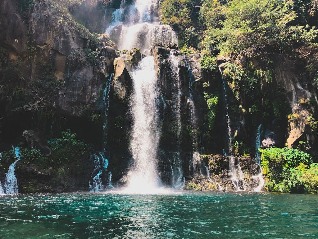 A travers les sentiers vous découvrirez le bassin Cormoran