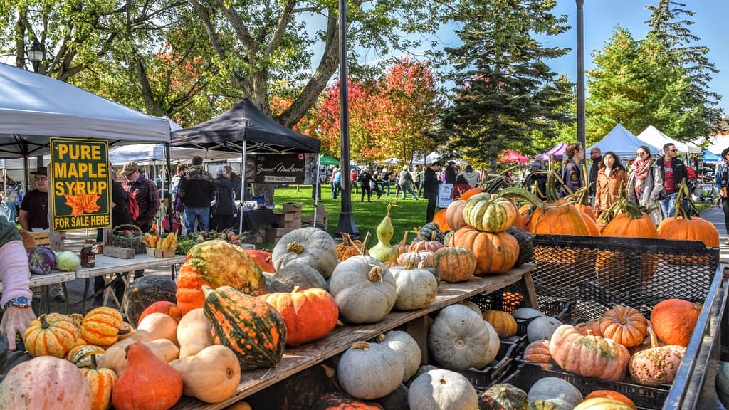 100% Producer-run market - meaning all vendors sell only what they grow, cook, or make! Seen here: Several varieties of squash from Honey Wagon Organic Farm