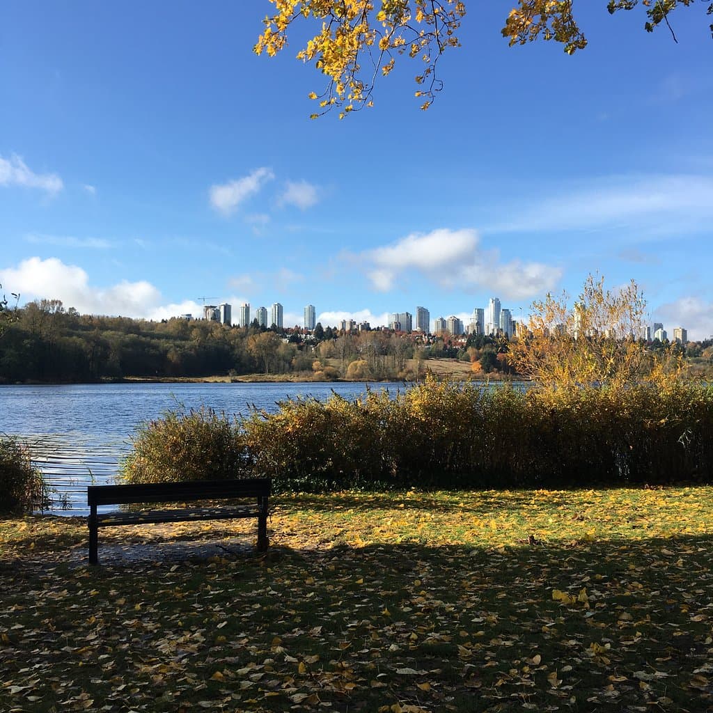 奥に見えるのはMetrotown