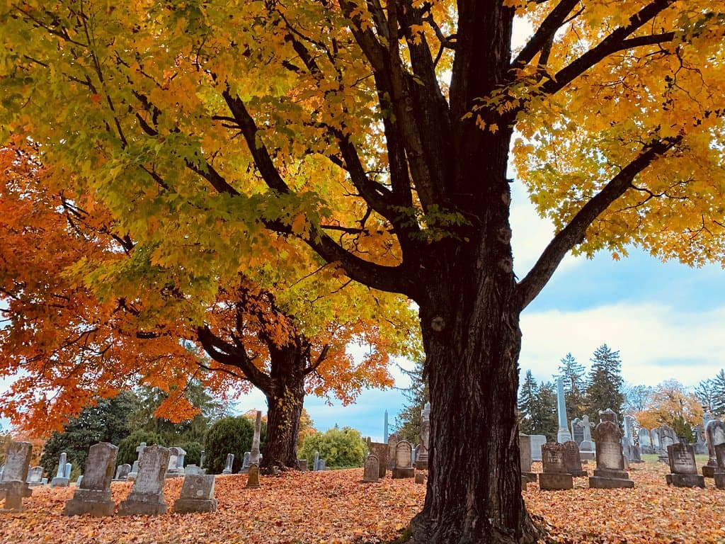 Thornrose Cemetery