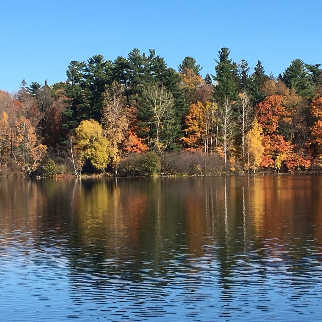 Parc national du Mont-Saint-Bruno