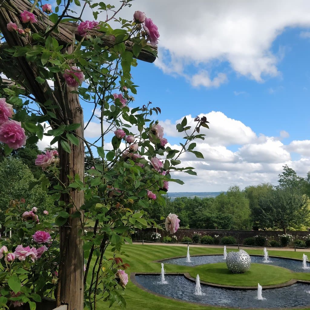 Our gorgeous Walled Garden