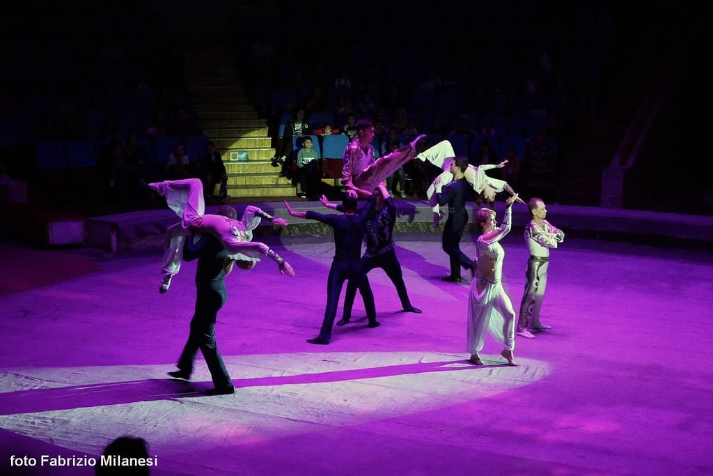 Acrobati/ballerini