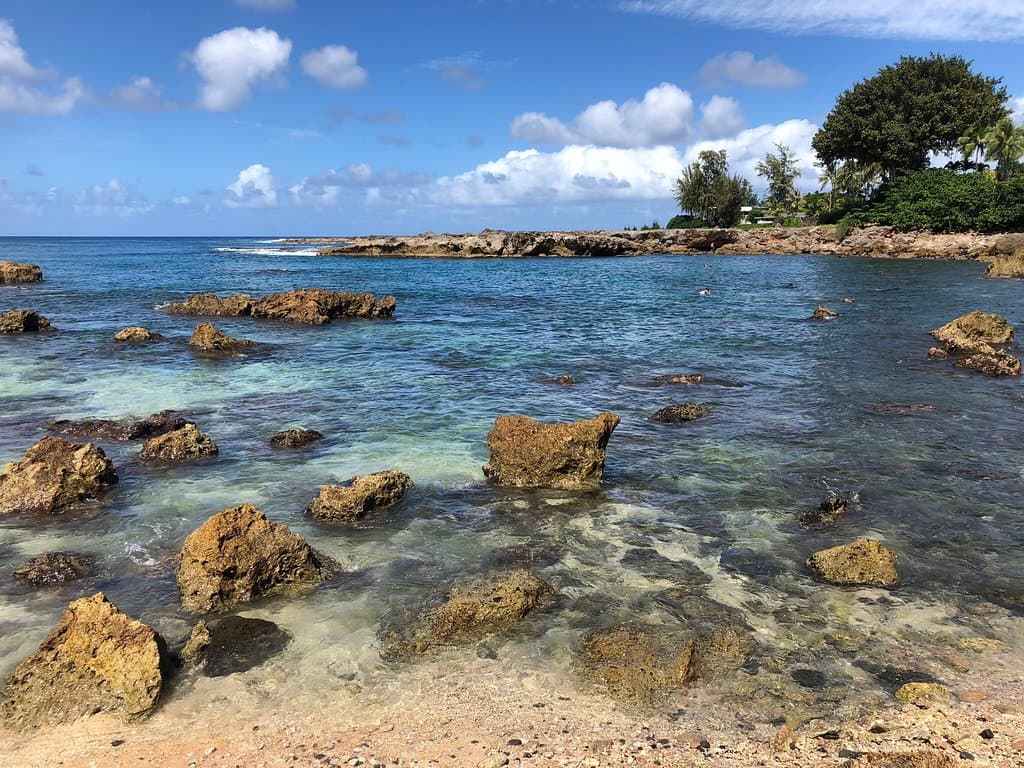 Shark's Cove Pupukea