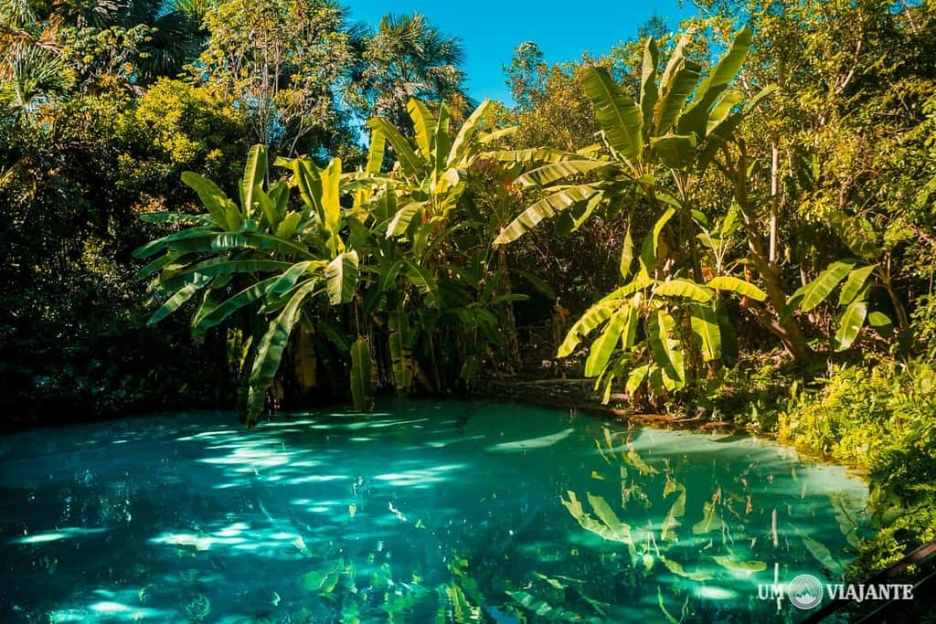 Considerado o mais bonito do Jalapão, o Fervedouro Bela Vista.  A piscina desse fervedouro é a maior entre todos os fervedouros abertos para visitação e conta com 15 metros de diâmetro de água transparente e incrivelmente azul. É impossível não ficar hipnotizado com a cor da água e a beleza da natureza que cerca o espaço.
