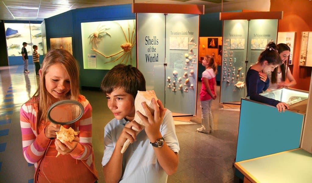 Natural Science