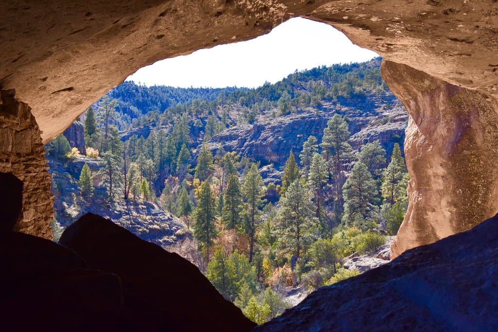 View from Inside