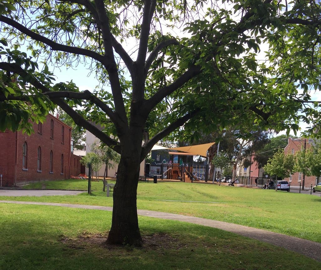 Condell Reserve