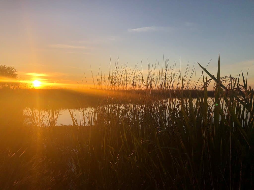 I live in the Creole Nature Trail in Southwest Louisiana. If you want to really catch it’s glory, pack a days worth of traveling supplies, get up before sunrise, and explore all the side roads.