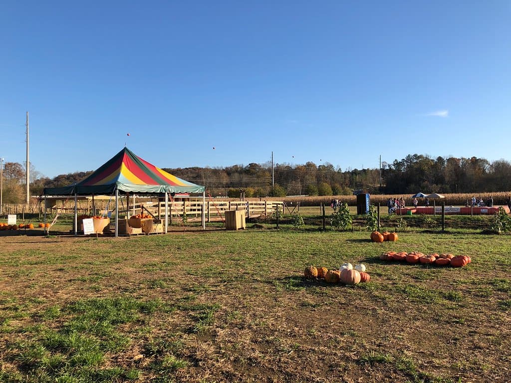 Burt's Pumpkin Farm
