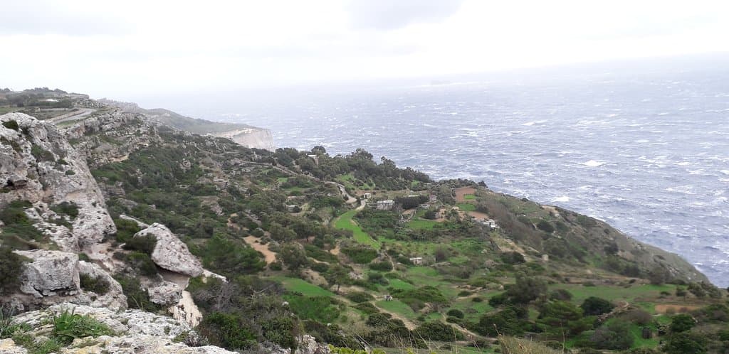 Clapham Junction Cart Ruts