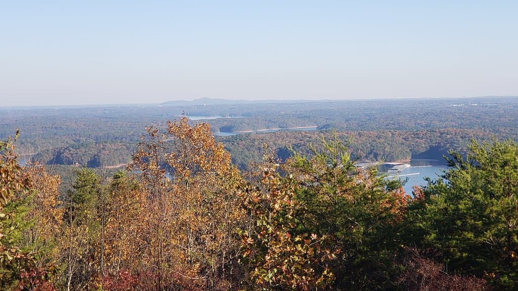 View from the top