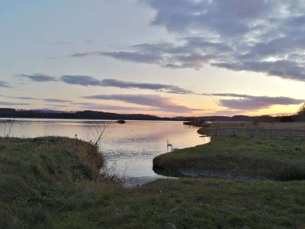 Tofutsu-ko Waterfowl Center