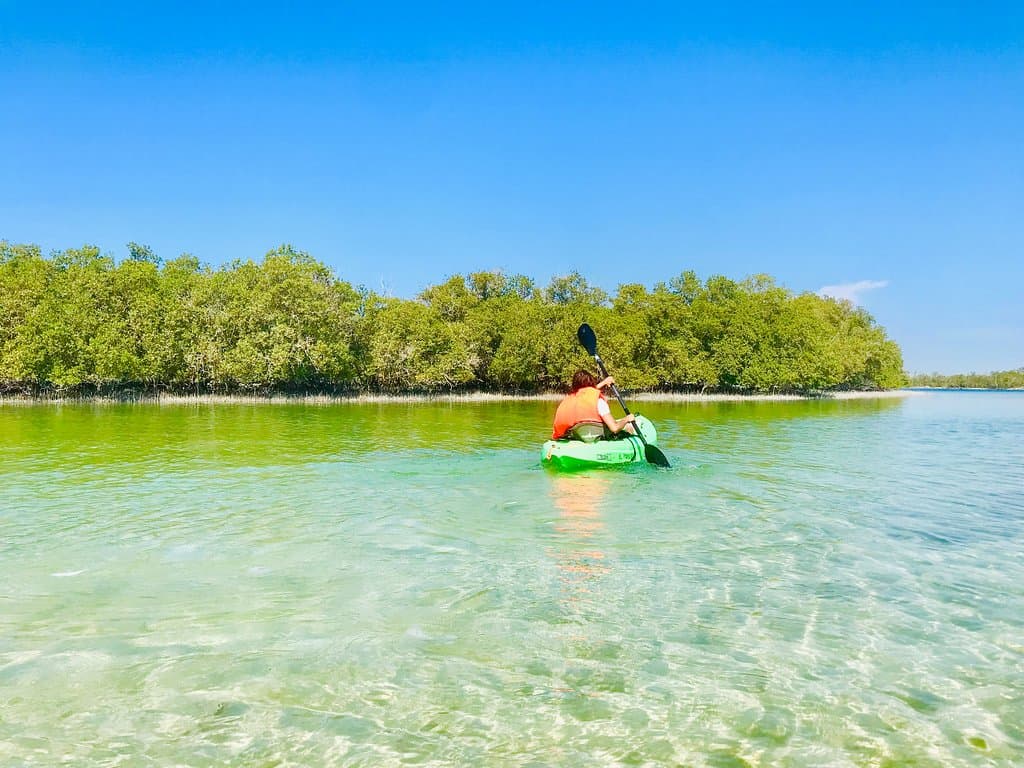 Mangrove Edu Park Marina