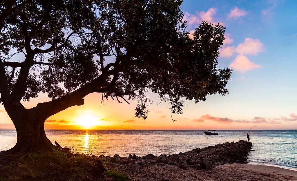 Amity North Stradbroke Island, the calm side of the Island perfect for Camping fishing, swimming, canoeing, Paddle boarding, boat ramp, Jetty fishing, meet the Dolphins, skate park and the most amazing sunsets over the water.