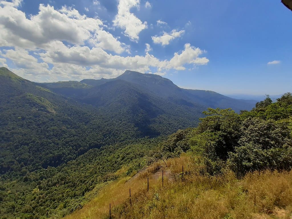 Bisle Ghat Viewpoint