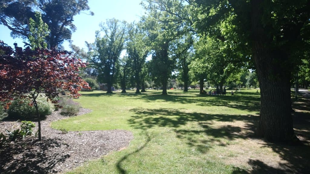 Trees
