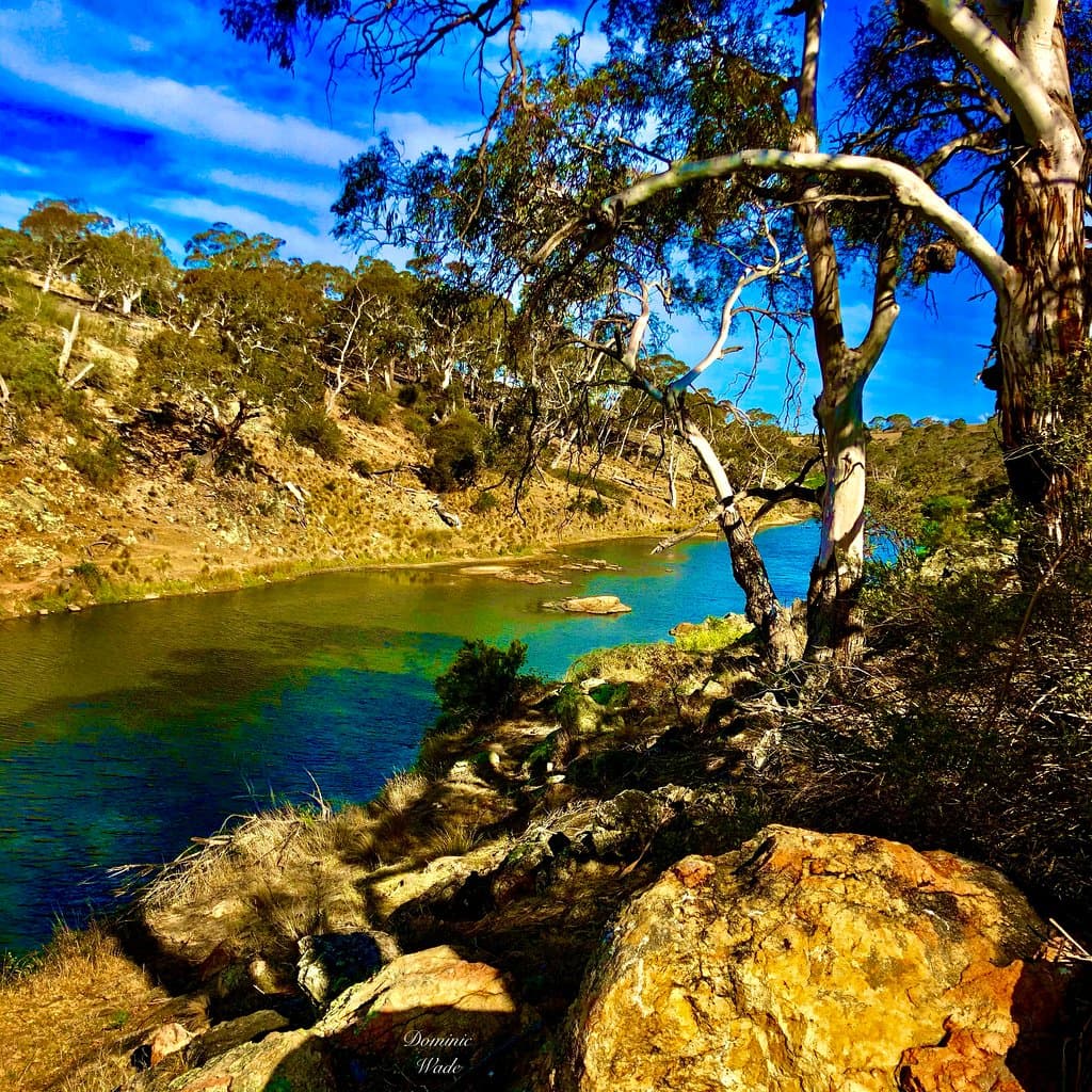 Bombala River 
