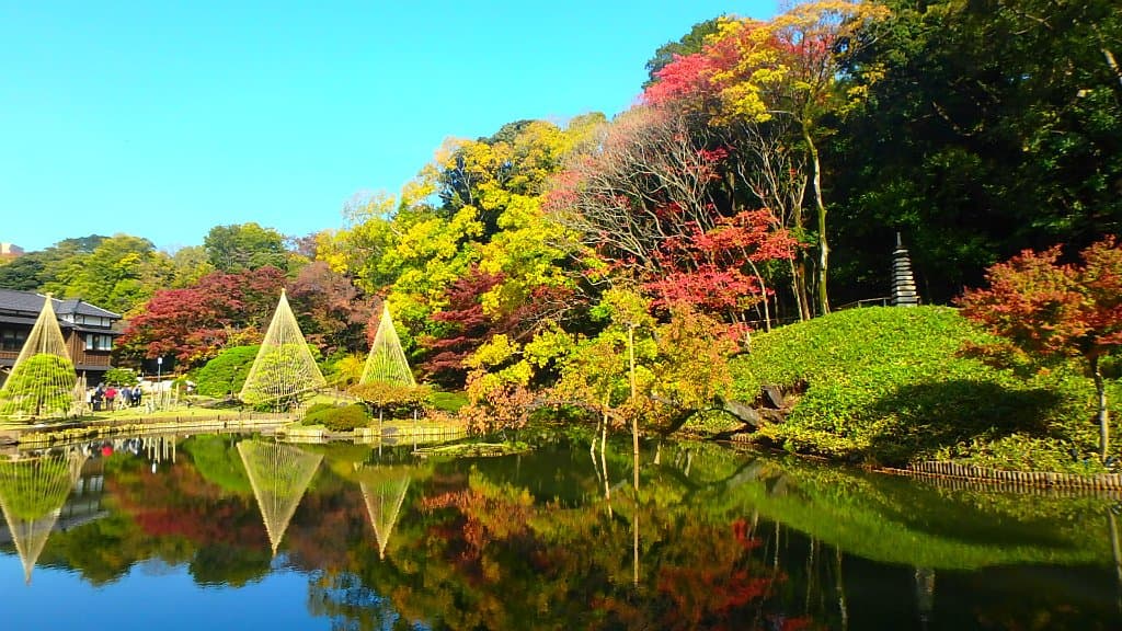 20191125　日本庭園