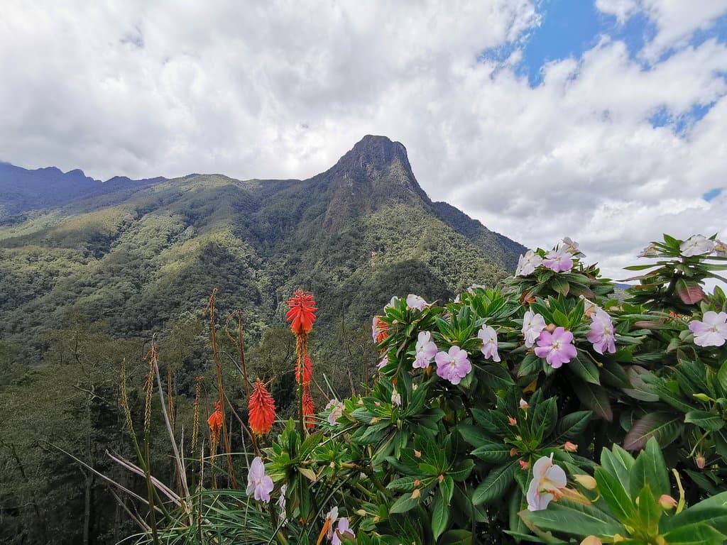 Reserva Natural Acaime 