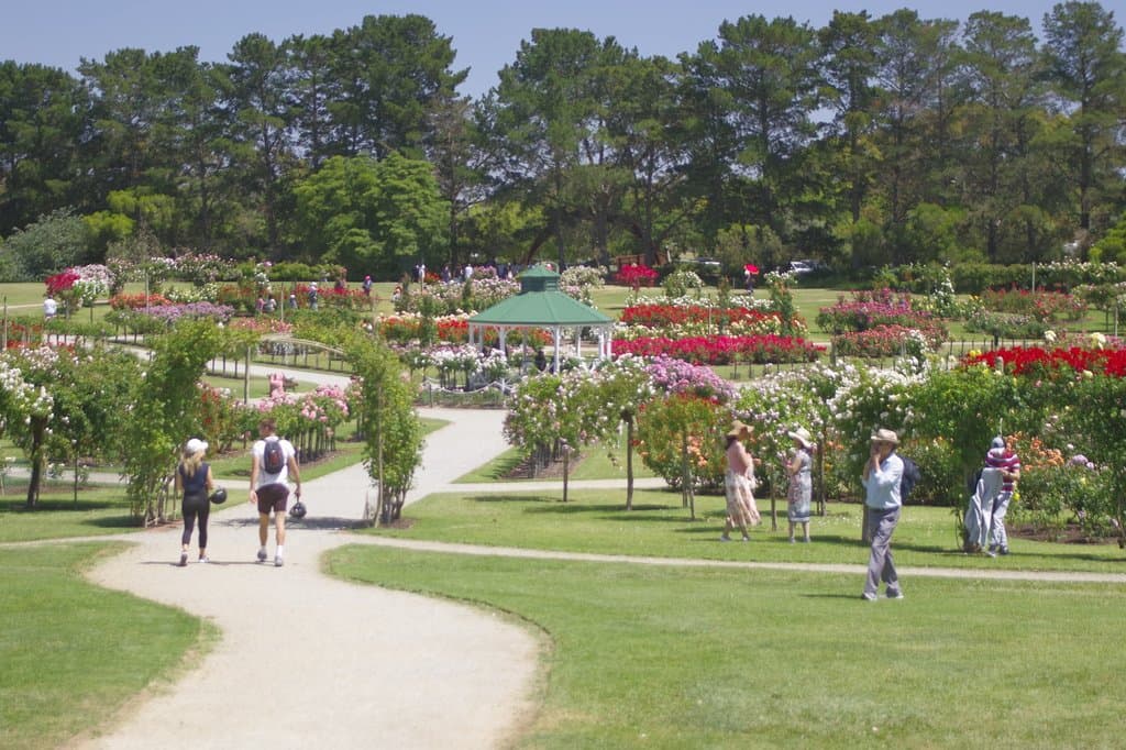 Victoria State Rose Garden Werribee