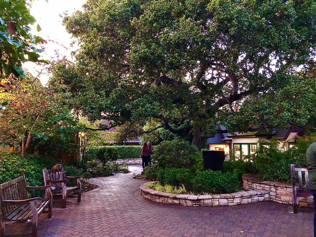 Relax in the small city owned park