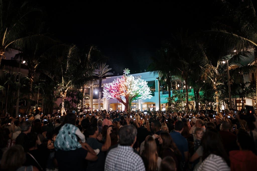 The Wishing Tree at the reopening of the square and holiday kickoff, November 30, 2019