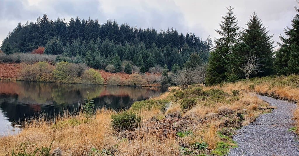 Fernworthy Reservoir and Forest