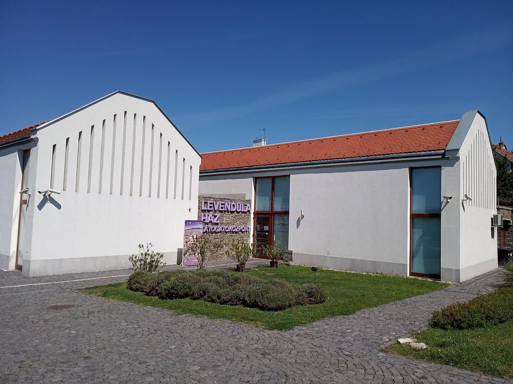 Lavender Fields Tihany