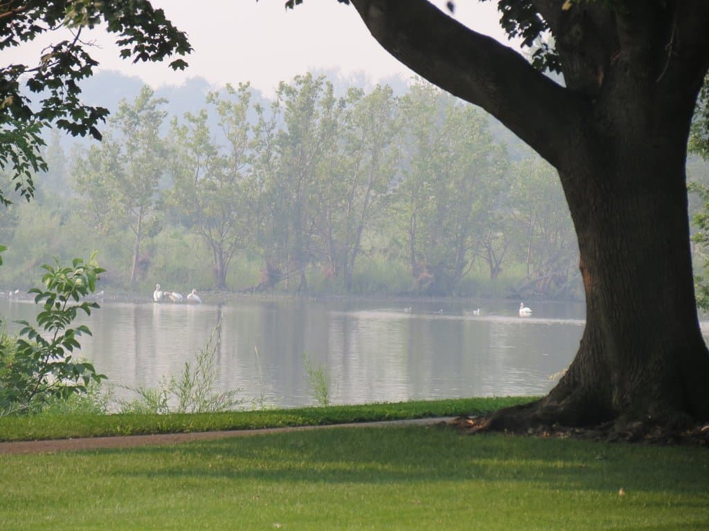 Peek on the Columbia River from Leslie Groves Park.