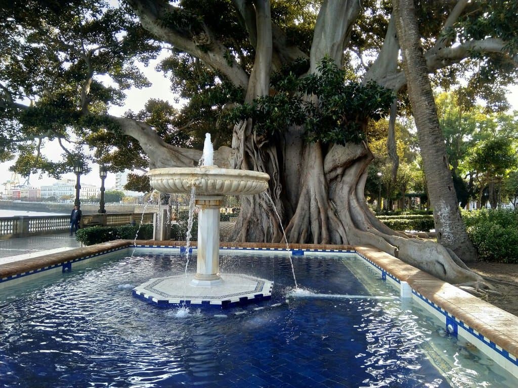 Alameda Apodaca