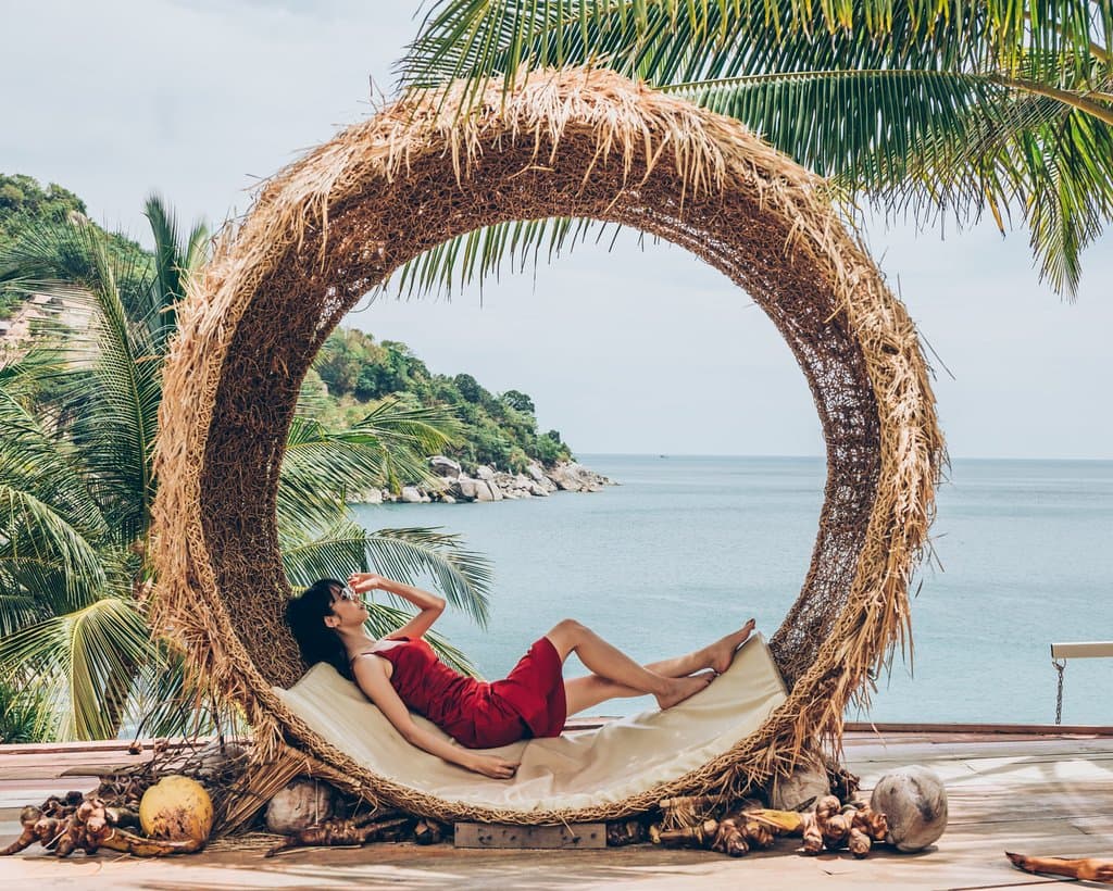 Beautiful artificial bird nest..