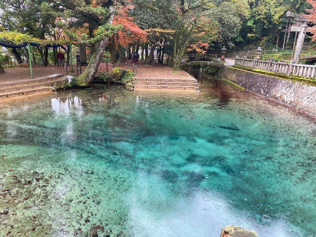 湧水が神秘的なクリアブルーの池