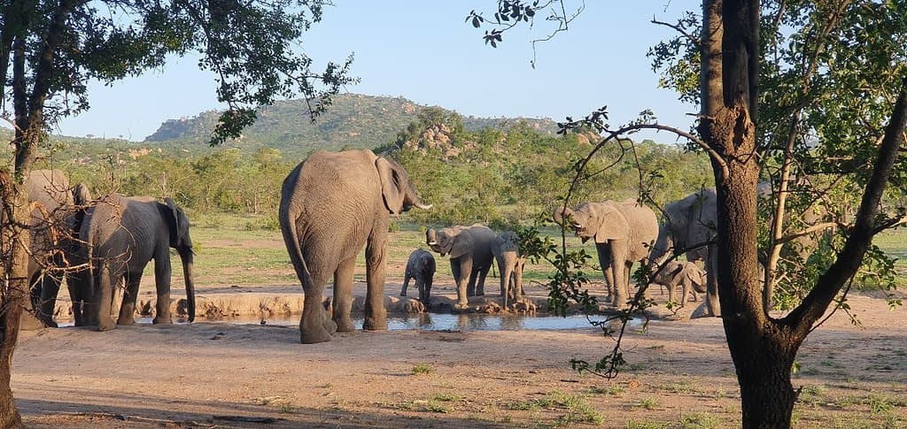 Wolhuter Wilderness Trail