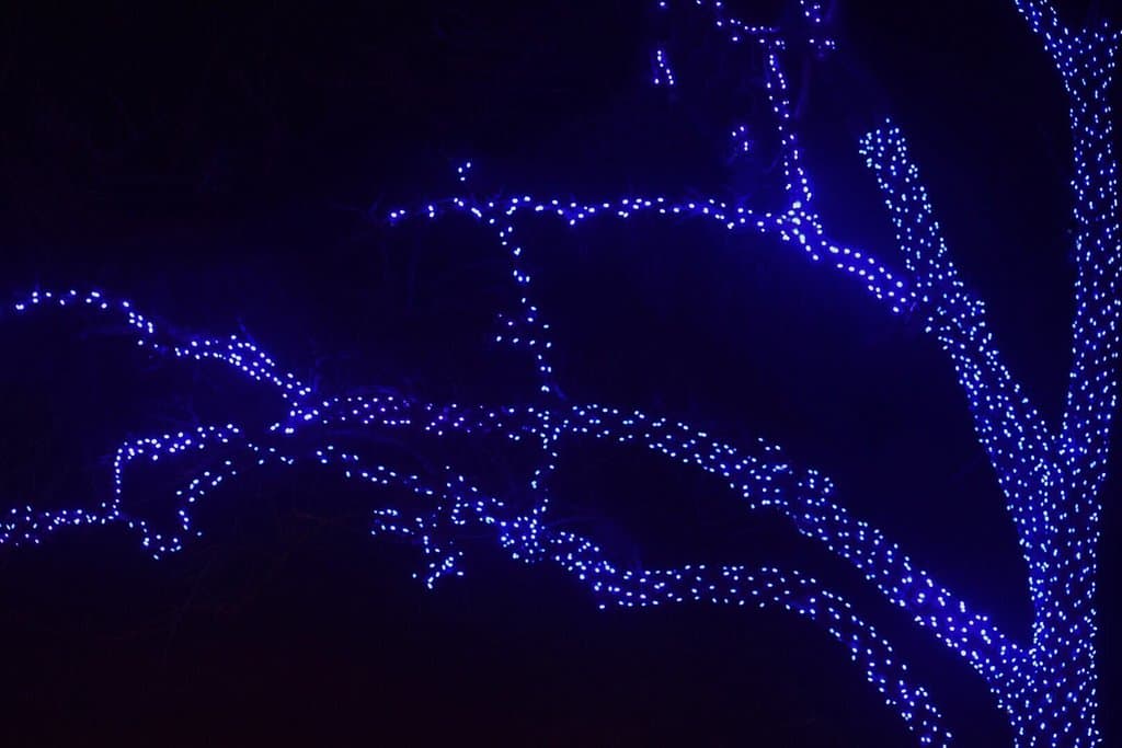 Holiday Lights at Gring’s Mill Recreation Area