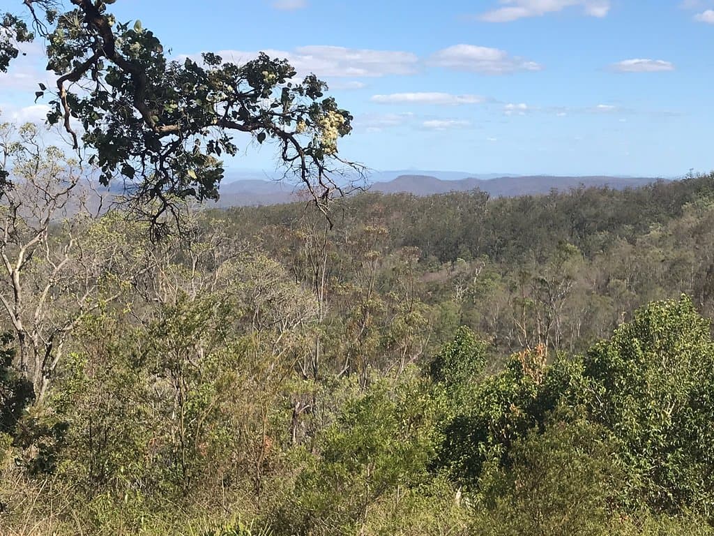Ravensbourne National Park Queensland
