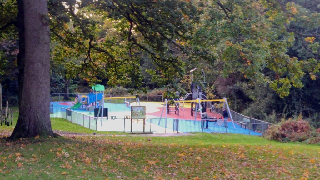 Playground in Joel Park