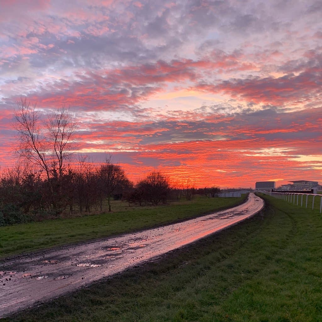 Sandall Beat Wood