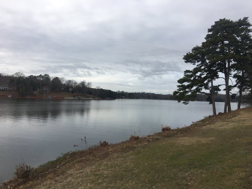 A Beautiful Park On A Peninsula