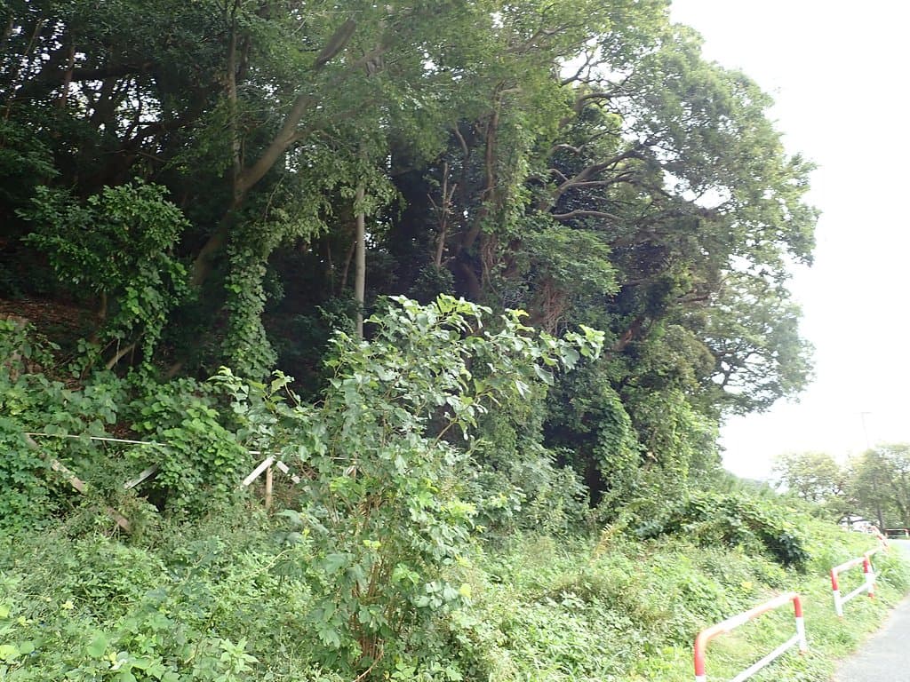 江戸川沿いからは崖があり攻めづらいでしょうね。