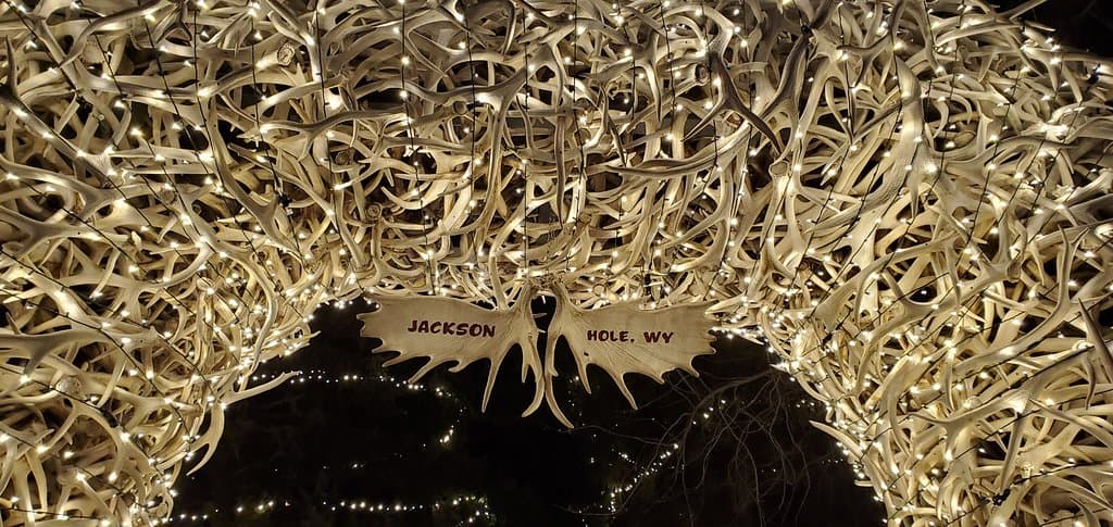 Christmas lights