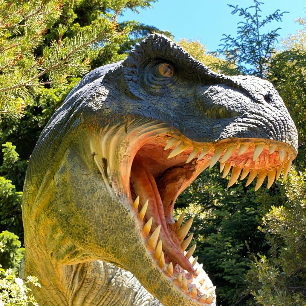 Parque Nahuelito Bariloche