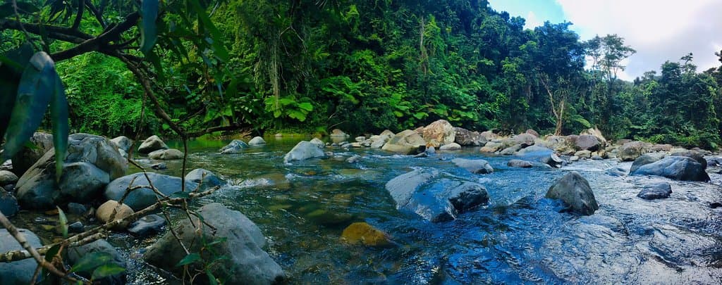 Angelito Trail and Charco